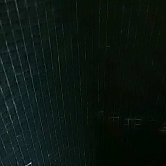 Meet your Posher, Desi - Picture 1 of 1